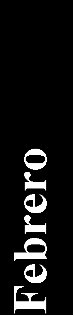 Cuadro de texto: Febrero