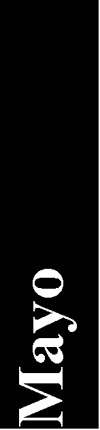 Cuadro de texto: Mayo